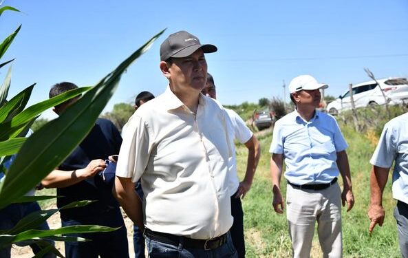 ОТЫРАР АУДАНЫНДА КӘСІП АШҚАНДАР САНЫ АРТЫП КЕЛЕДІ