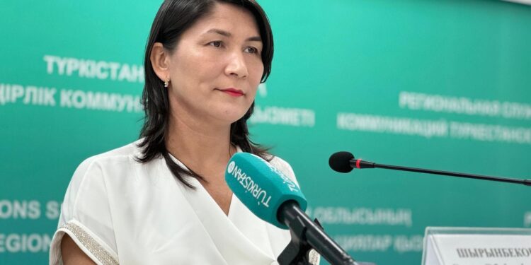 ТҮРКІСТАН: САУДА ОРЫНДАРЫ БАҚЫЛАУ-КАССАЛЫҚ МАШИНАСЫН ОРНАТУЫ МІНДЕТТІ