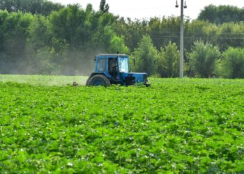 ОРДАБАСЫ: АУДАН БАСШЫСЫ ШАРУА ҚОЖАЛЫҚТАРЫН АРАЛАДЫ