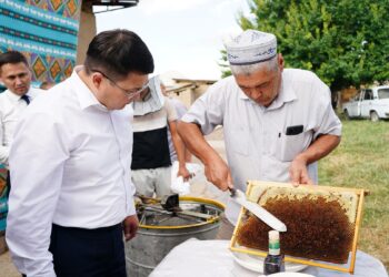 ҚАЗЫҒҰРТ АУДАНЫНЫҢ ӘКІМІ ҚАЙТАРЫМСЫЗ ГРАНТ ИЕГЕРЛЕРІНІҢ ЖҰМЫСЫМЕН ТАНЫСТЫ