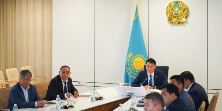 ТҮРКІСТАННЫҢ ТУРИСТІК ЖӘНЕ КӘСІПКЕРЛІК ӘЛЕУЕТІН КӨТЕРЕТІН НЫСАНДАР САЛЫНАДЫ