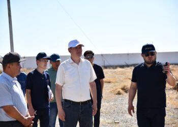 ОТЫРАР: КӨКСАРАЙЛЫҚТАР ТУҒАН ЖЕРДІ ТҮЛЕТУГЕ ҮЛЕС ҚОСЫП КЕЛЕДІ