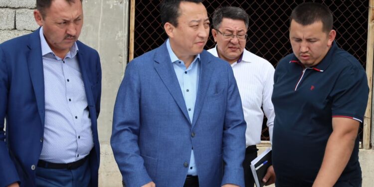 ТҮРКІСТАН: ТӨЛЕБИДЕ ІРІ СҮТ ФЕРМАСЫНЫҢ ҚҰРЫЛЫСЫ БАСТАЛАДЫ