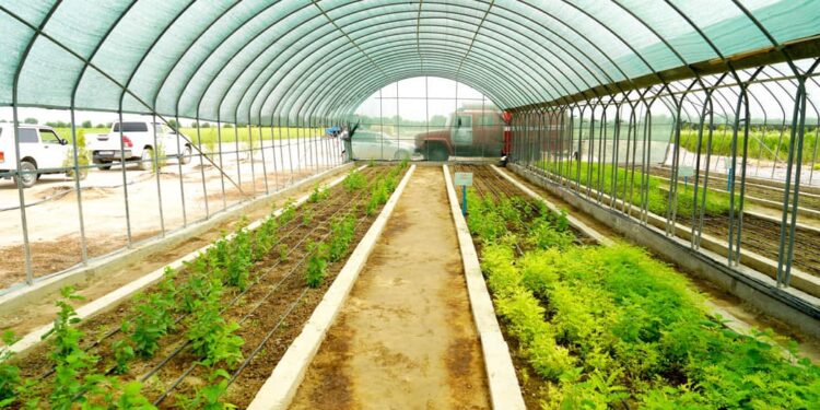 ТҮРКІСТАН ОБЛЫСЫНДА ЗАМАНАУИ ТҰҚЫМБАҚТАР САНЫ АРТЫП КЕЛЕДІ