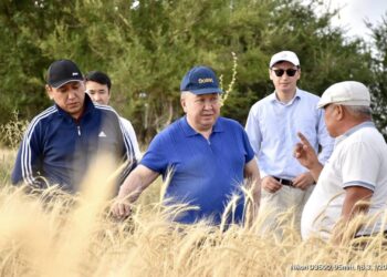 СОЗАҚ АУДАНЫНЫҢ БАСШЫСЫ ЕГІС АЛҚАБТАРЫН АРАЛАДЫ