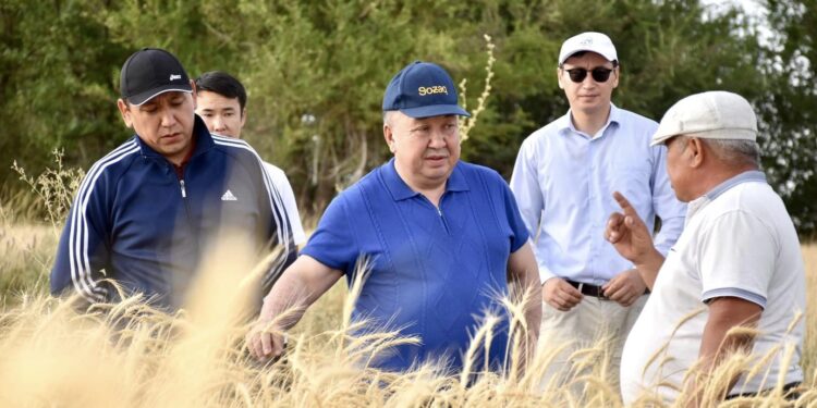 СОЗАҚ АУДАНЫНЫҢ БАСШЫСЫ ЕГІС АЛҚАБТАРЫН АРАЛАДЫ