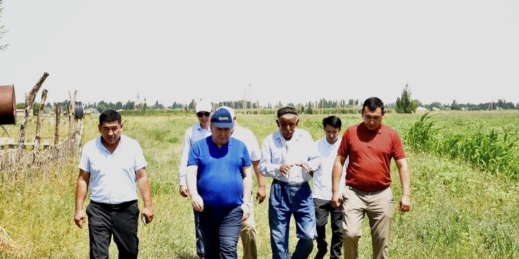 СОЗАҚ АУЫЛДЫҚ ОКРУГІНІҢ ӨЗІНДЕ ЖАЛПЫ ЕГІЛГЕН ЕГІС КӨЛЕМІ 2459 ГЕКТАР АУМАҚТЫ ҚҰРАЙДЫ