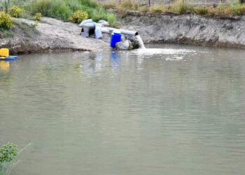 СОЗАҚТЫҚ ШАРУАЛАР «АУЫЛ АМАНАТЫ» ЖОБАСЫМЕН БАЛЫҚ ШАРУАШЫЛЫҒЫН ӨРКЕНДЕТІП ОТЫР