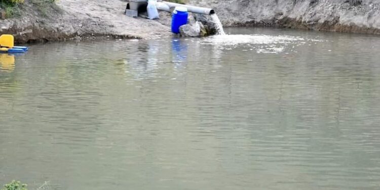 СОЗАҚТЫҚ ШАРУАЛАР «АУЫЛ АМАНАТЫ» ЖОБАСЫМЕН БАЛЫҚ ШАРУАШЫЛЫҒЫН ӨРКЕНДЕТІП ОТЫР