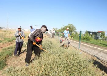 «ТАЗА ҚАЗАҚСТАН»: ТҮРКІСТАН ҚАЛАСЫНДА ӨТКЕН СЕНБІЛІККЕ 700-ГЕ ЖУЫҚ АДАМ ҚАТЫСТЫ