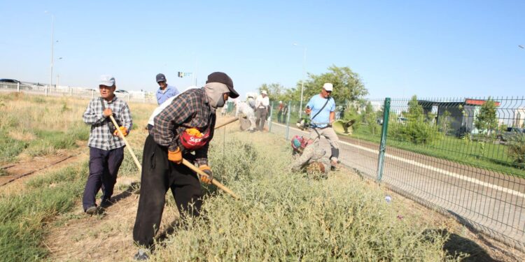 «ТАЗА ҚАЗАҚСТАН»: ТҮРКІСТАН ҚАЛАСЫНДА ӨТКЕН СЕНБІЛІККЕ 700-ГЕ ЖУЫҚ АДАМ ҚАТЫСТЫ