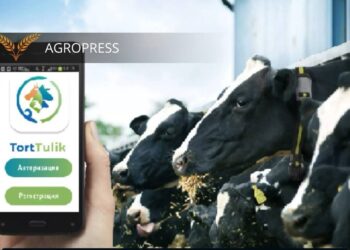 122 мыңнан астам қазақстандық «Torttulik» мобильді қосымшасын пайдаланады