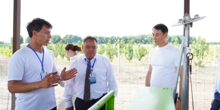 ТҮРКІСТАН ОБЛЫСЫНДА ЖҮЗІМ ШАРУАШЫЛЫҒЫН ДАМЫТУДА ЖАҢА ТЕХНОЛОГИЯЛАР ҚОЛДАНЫЛАДЫ