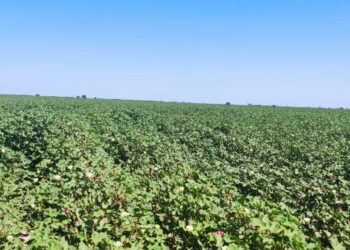 МАҚТААРАЛДА АҒЫН СУДЫ ҮНЕМДЕП, МОЛ ӨНІМГЕ ҚОЛ ЖЕТКІЗУ БАҒЫТЫНДА СЕМИНАР-КЕҢЕС ӨТТІ