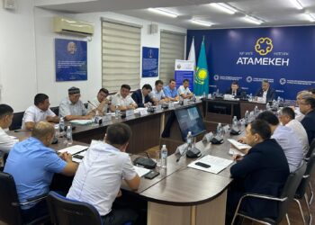 ТҮРКІСТАН: КЕҢЕС ОТЫРЫСЫНДА КӘСІПКЕРЛЕРДІҢ КӨТЕРГЕН МӘСЕЛЕСІ ТАЛҚЫЛАНДЫ