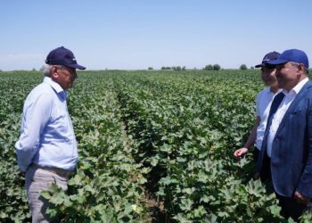 Шаруалар су үнемдеу жүйелеріне төленетін субсидия мөлшерін ұлғайту шешіміне қуанышты