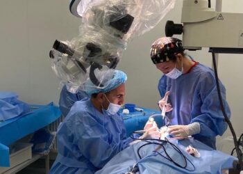 ТҮРКІСТАН: ДӘРІГЕРЛЕР 4 НАУҚАСҚА ЕСТУ МҮМКІНДІГІН СЫЙЛАДЫ