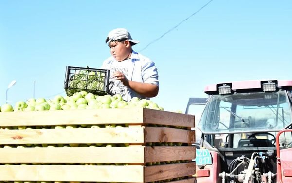 ТҮРКІСТАН: ОТЫРАРЛЫҚ ШАРУА 25 ГЕКТАР ҚАРҚЫНДЫ БАУДАН ӨНІМ АЛЫП ОТЫР