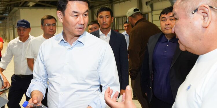 RC СОLA СУСЫНДАРЫ ТҮЛКІБАСТА ШЫҒАРЫЛАДЫ