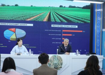 АҒЫМДАҒЫ ЖЫЛЫ ШЫМКЕНТ ҚАЛАСЫНДА 23,0 МЫҢ ГЕКТАР ЖЕРГЕ АУЫЛ ШАРУАШЫЛЫҒЫ ДАҚЫЛДАРЫ ЕГІЛУДЕ