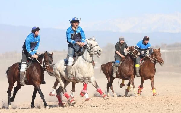 ТҮРКІСТАН: САРЫАҒАШТА ҰЛТТЫҚ СПОРТ КҮНІНДЕ 150 ШАБАНДОЗ ҚАТЫСҚАН КӨКПАР ОЙЫНЫ ӨТТІ
