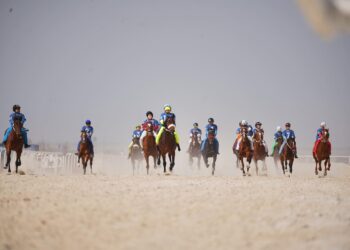 ШЫМКЕНТТЕ ҰЛТТЫҚ СПОРТ ТҮРЛЕРІ ДӘРІПТЕЛДІ