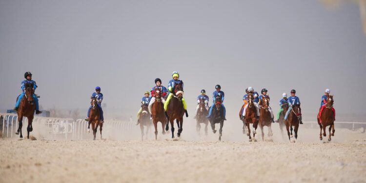 ШЫМКЕНТТЕ ҰЛТТЫҚ СПОРТ ТҮРЛЕРІ ДӘРІПТЕЛДІ