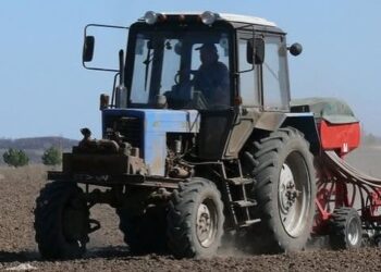 ШЫМКЕНТТЕ ЕГІС ЖҰМЫСТАРЫ ҚАРҚЫН АЛДЫ