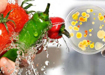 ҮЙ ЖАҒДАЙЫНДА ТАҒАМНАН УЛАНУДЫҢ АЛДЫН АЛУ