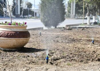 ТҮРКІСТАН: ОРДАБАСЫ АУДАНЫНЫҢ ОРТАЛЫҒЫ ГҮЛМЕН КӨМКЕРІЛДІ