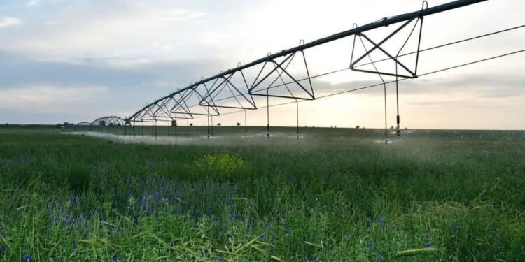 ТҮРКІСТАН ОБЛЫСЫНДА ЕГІСТІКТІ АҒЫН СУМЕН ҚАМТУ, СУ НЫСАНДАРЫН ЖӨНДЕУ ЖҰМЫСТАРЫ ҚАРҚЫНДЫ ЖҮРІП ЖАТЫР