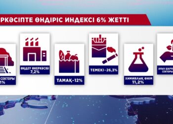 ҚАЗАҚСТАННЫҢ ЖАЛПЫ ІШКІ ӨНІМ КӨРСЕТКІШІ АРТТЫ