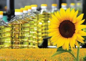 ҚАЗАҚСТАНДА ӨСІМДІК МАЙЫН ӨНДІРУ ШАМАМЕН 24%-ҒА АРТТЫ