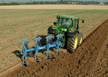 ШЫМКЕНТТЕ АУЫЛ ШАРУАШЫЛЫҒЫ ОРНЫҚТЫ ДАМЫП КЕЛЕДІ