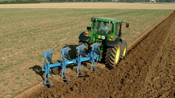 ШЫМКЕНТТЕ АУЫЛ ШАРУАШЫЛЫҒЫ ОРНЫҚТЫ ДАМЫП КЕЛЕДІ