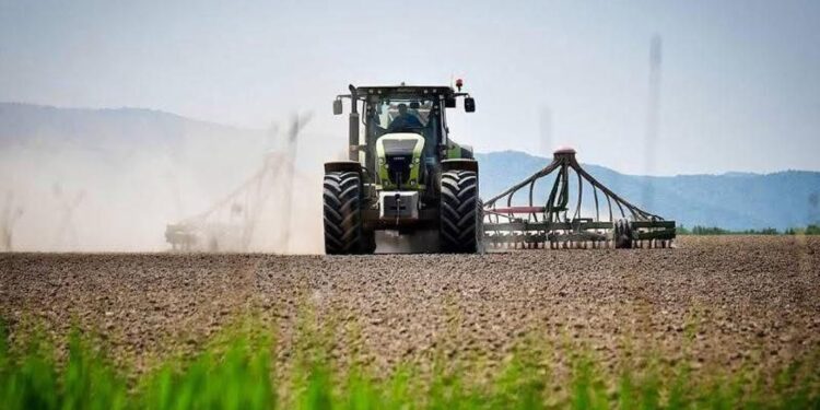 2025 жылғы көктемгі егіске 6 100-ден астам ауыл шаруашылығы өндірушісі жеңілдетілген қаржыландыру алды