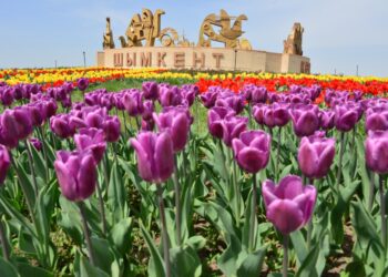 ЧИСЛО ТУРИСТОВ, ПОБЫВАВШИХ В ШЫМКЕНТЕ, УВЕЛИЧИЛОСЬ НА 13,1 ПРОЦЕНТА