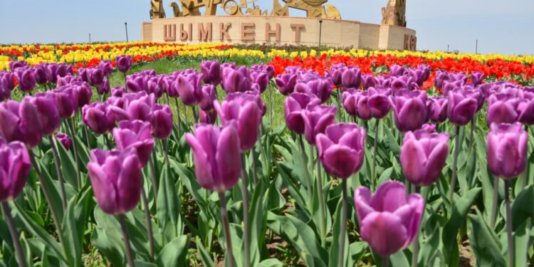 ЧИСЛО ТУРИСТОВ, ПОБЫВАВШИХ В ШЫМКЕНТЕ, УВЕЛИЧИЛОСЬ НА 13,1 ПРОЦЕНТА