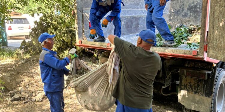 ШЫМКЕНТТЕ КЕҢ АУҚЫМДЫ СЕНБІЛІК ӨТТІ