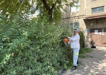 В ШЫМКЕНТЕ ПРОШЛА МАСШТАБНАЯ УБОРКА В РАМКАХ ПРОГРАММЫ «ТАЗА ҚАЗАҚСТАН»