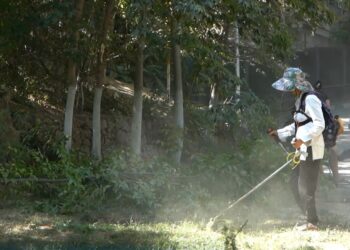 На Кошкарате отдыхают тысячи шымкентцев, а мусор убирают десятки