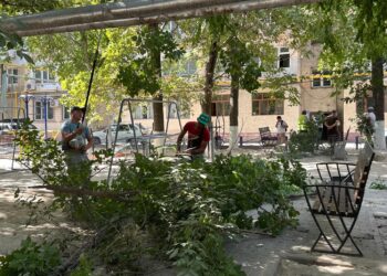 ШЫМКЕНТ: «ТАЗА ҚАЗАҚСТАН» ЭКОЛОГИЯЛЫҚ АКЦИЯСЫ АЯСЫНДАҒЫ КЕЗЕКТІ ТАЗАЛЫҚ ІС-ШАРАСЫ ӨТТІ