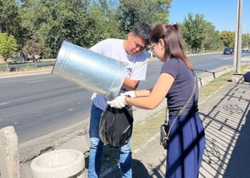 Шымкентте «Таза Қазақстан» акциясы аясында жалпықалалық сенбілік өтті