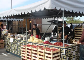 Астанада Түркістан облысының ауыл шаруашылығы өнімдері жәрмеңкесі өтіп жатыр