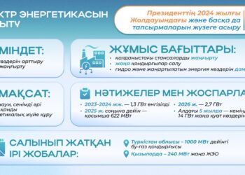 Президенттің 2024 жылғы Жолдауын жүзеге асыру: отын-энергетика кешенін ауқымды жаңғырту қалай жүргізілуде