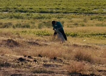 ШЫМКЕНТ: «TAZA ALEM» АКЦИЯСЫ ЖАЛҒАСУДА