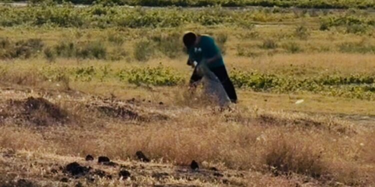 ШЫМКЕНТ: «TAZA ALEM» АКЦИЯСЫ ЖАЛҒАСУДА