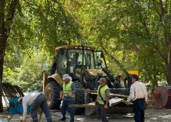 «Таза Қазақстан» экологиялық акциясы аясында Әл-Фараби ауданында ауқымды тазалық шарасы өтті
