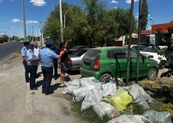 В Шымкенте нарушители порядка и чистоты привлечены к ответственности