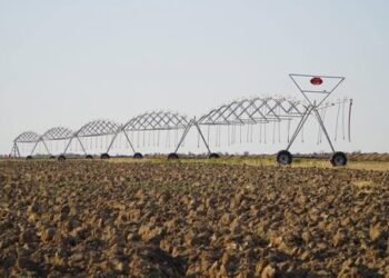 ТҮРКІСТАН ОБЛЫСЫНДА 59 МЫҢ ГЕКТАР АЛҚАПҚА СУ ҮНЕМДЕУ ТЕХНОЛОГИЯЛАРЫ ЕНДІРІЛДІ